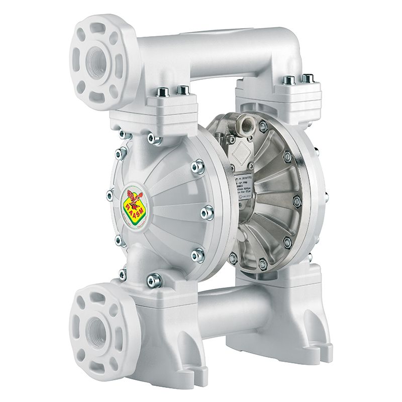 POMPE À MEMBRANE POLYPROPYLÈNE 170 L/MN PTFE + INOX 316 photo du produit