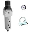 FILTRE REGULATEUR 25µm MÉTAL 0-10 BAR FEMELLE - MANOMÈTRE ET FIXATION photo du produit