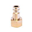 ABOUTS STANDARDS MIGNON 5 mm - FEMELLE photo du produit