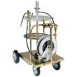 KIT GRAISSAGE MOB.220KG 50:1 photo du produit